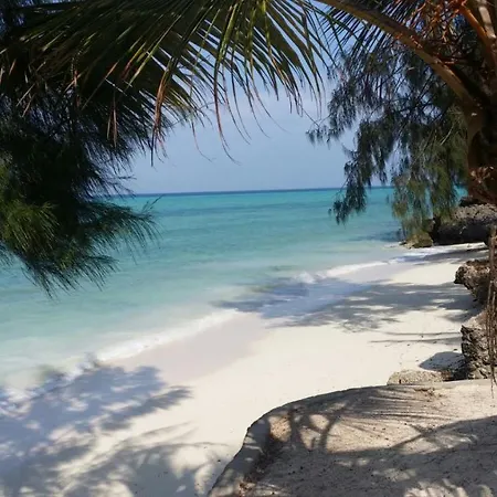 Coco Reef Lodge